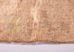 Procartk1