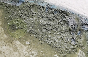 Paint Scum